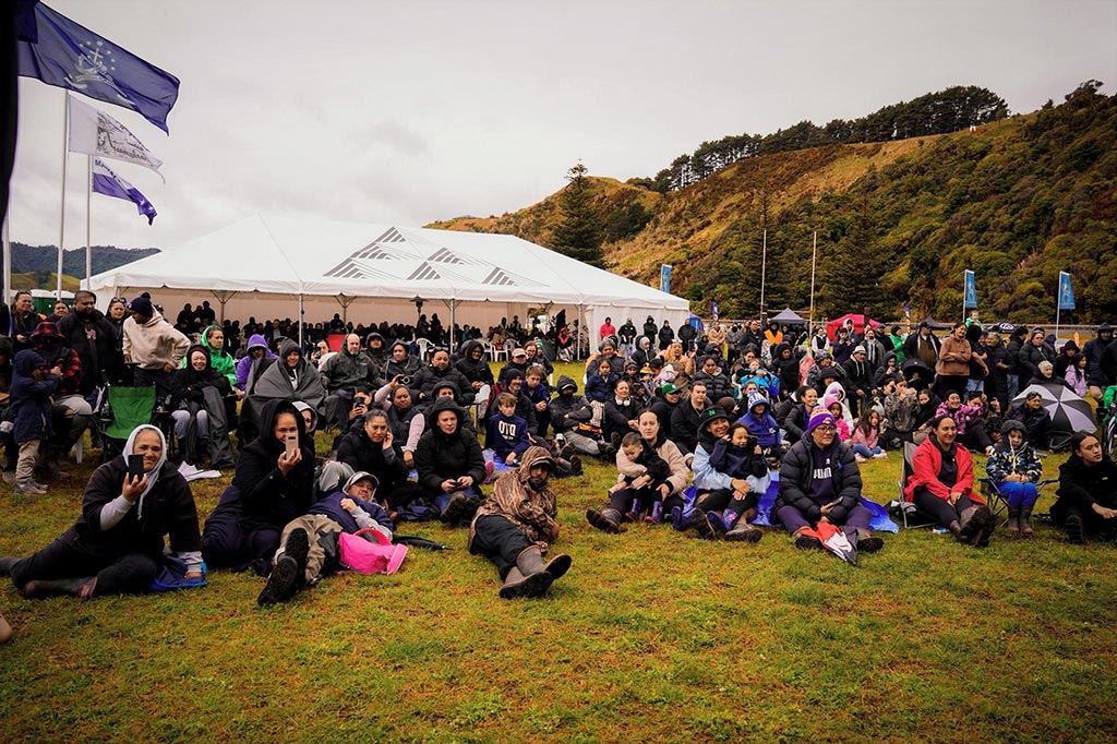 A large crowd of people sitting on the grass watching a performance
